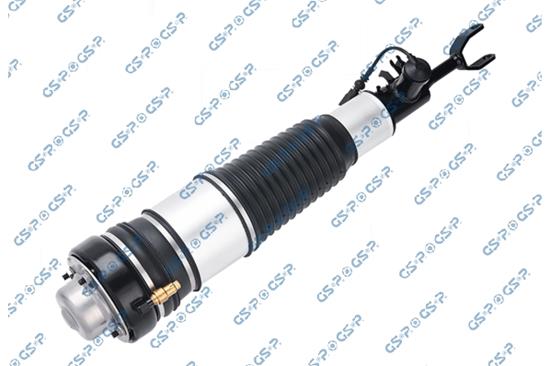 GSP-30900041